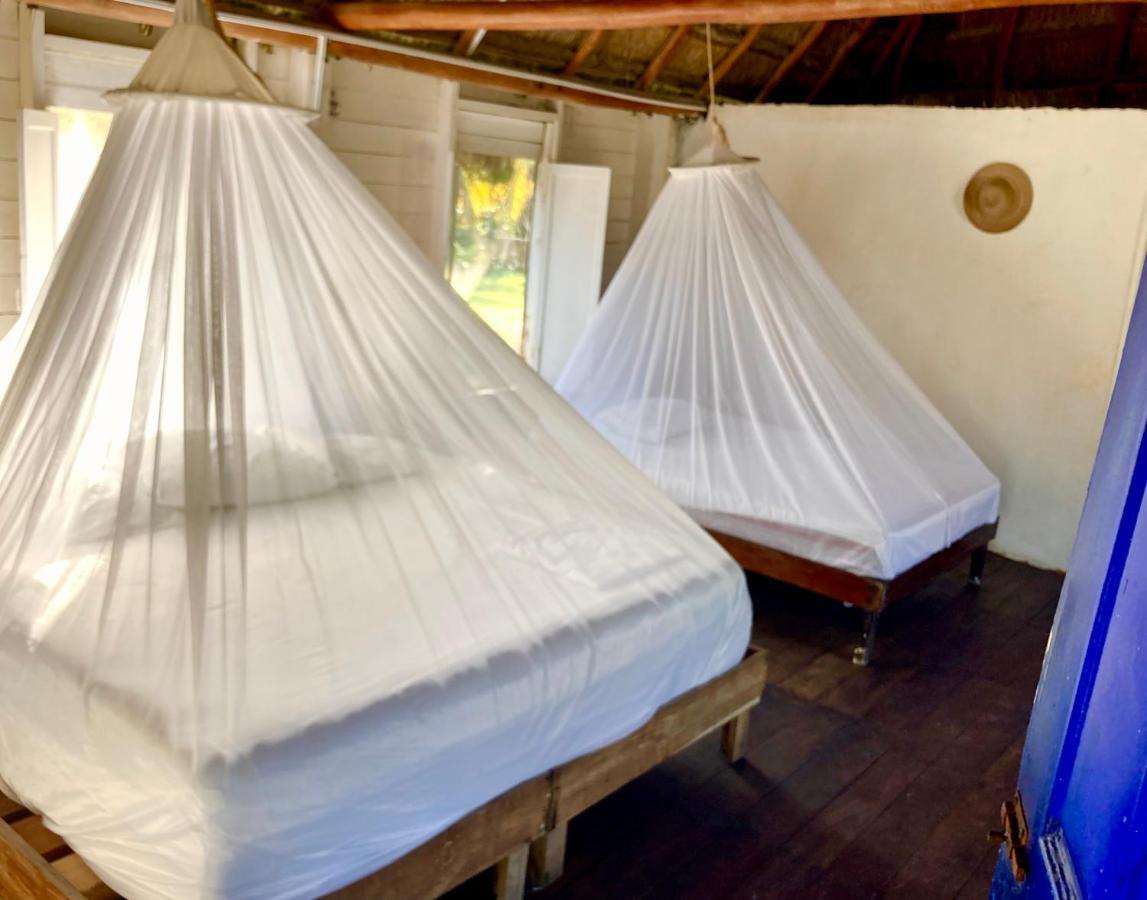 Cabanas Ecoturisticas Costa Maya Махауаль Экстерьер фото