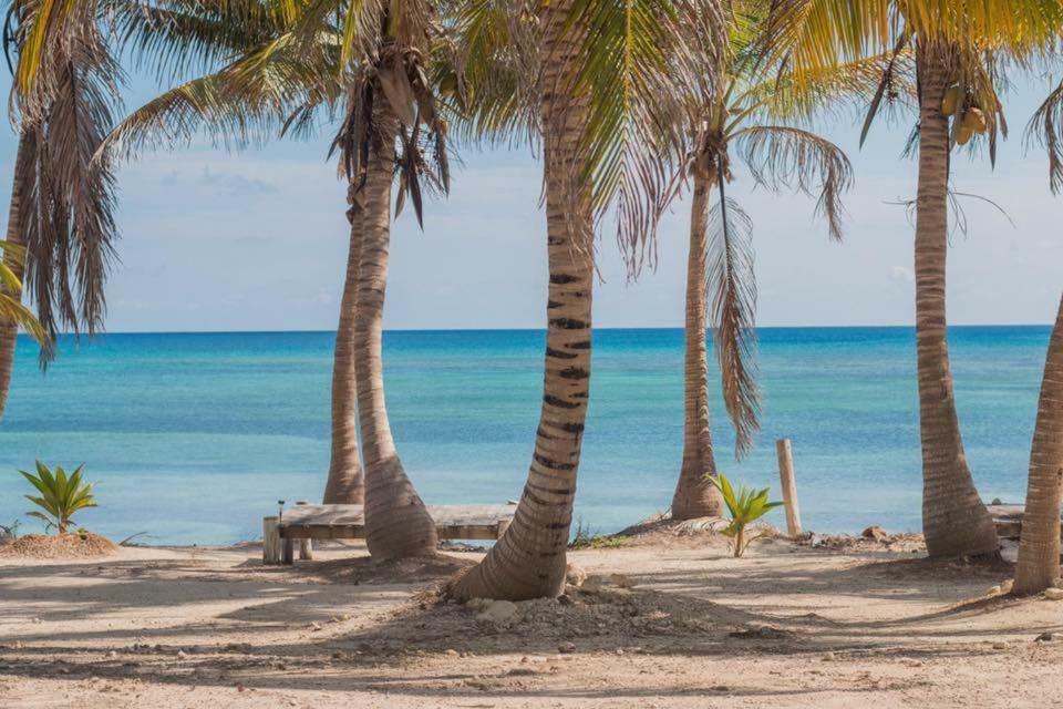 Cabanas Ecoturisticas Costa Maya Махауаль Экстерьер фото