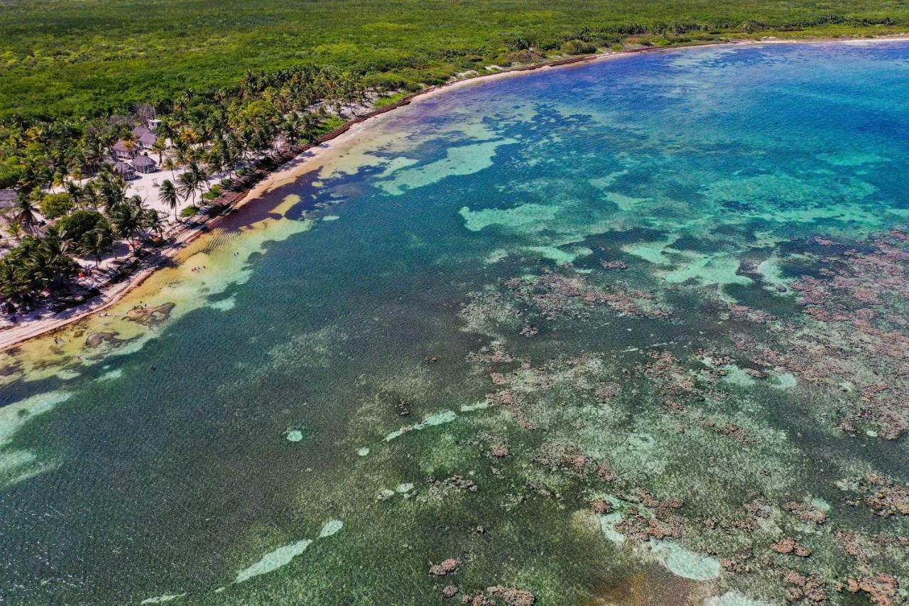 Cabanas Ecoturisticas Costa Maya Махауаль Экстерьер фото