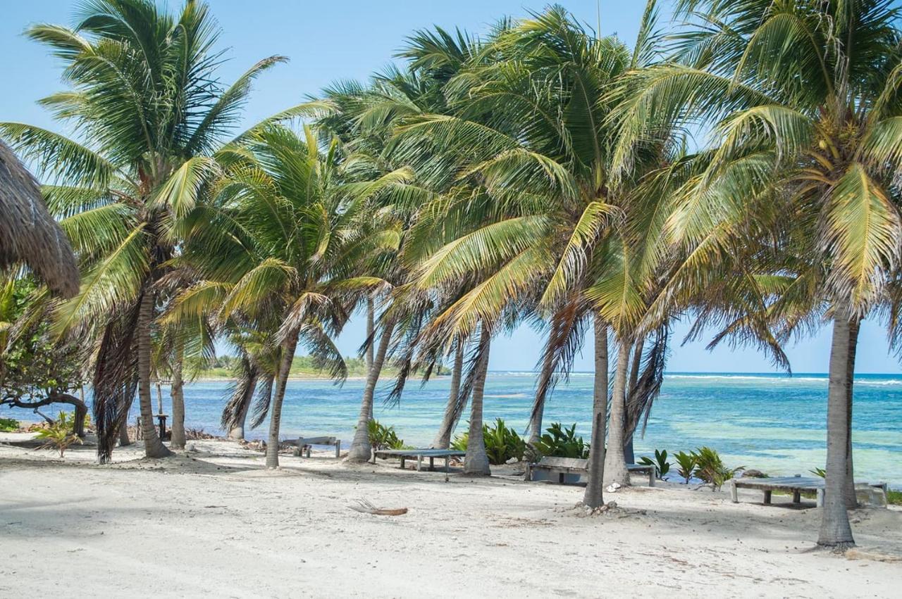 Cabanas Ecoturisticas Costa Maya Махауаль Экстерьер фото